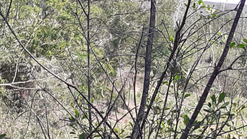 0 Bedroom Property for Sale in Albertinia Western Cape